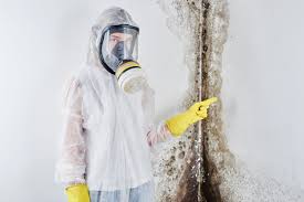 Best Emergency Mold Remediation in The Hills, NJ